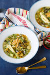 sopa de verduras mexicanas