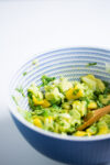 Mango guacamole o pico de Gallo con mango