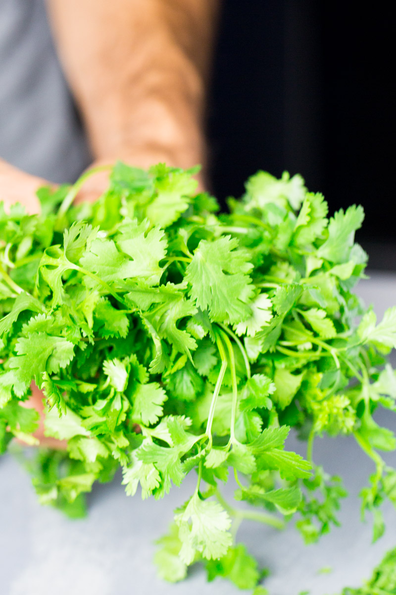 un manojo de cilantro