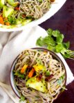 udon-noodles-ajo-gengibre-