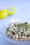 baba ghanoush, dip de berenjena asada