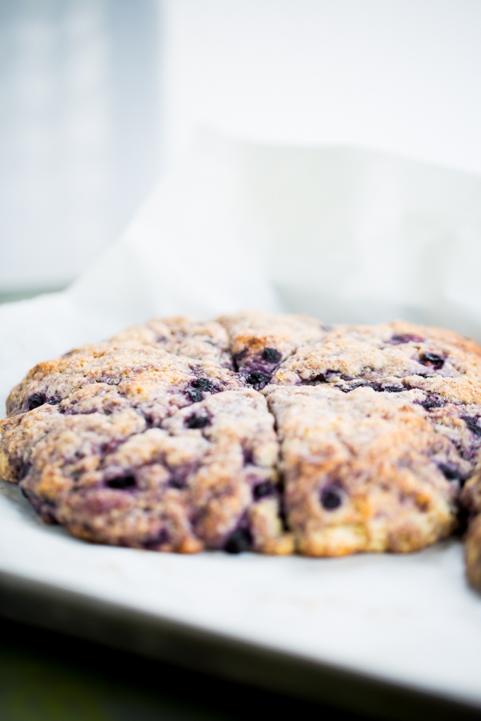 Scones de blueberries veganos