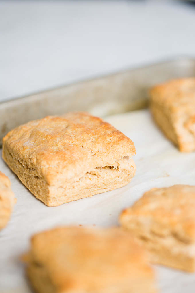 Biscuits perfectos recién salidos del horno