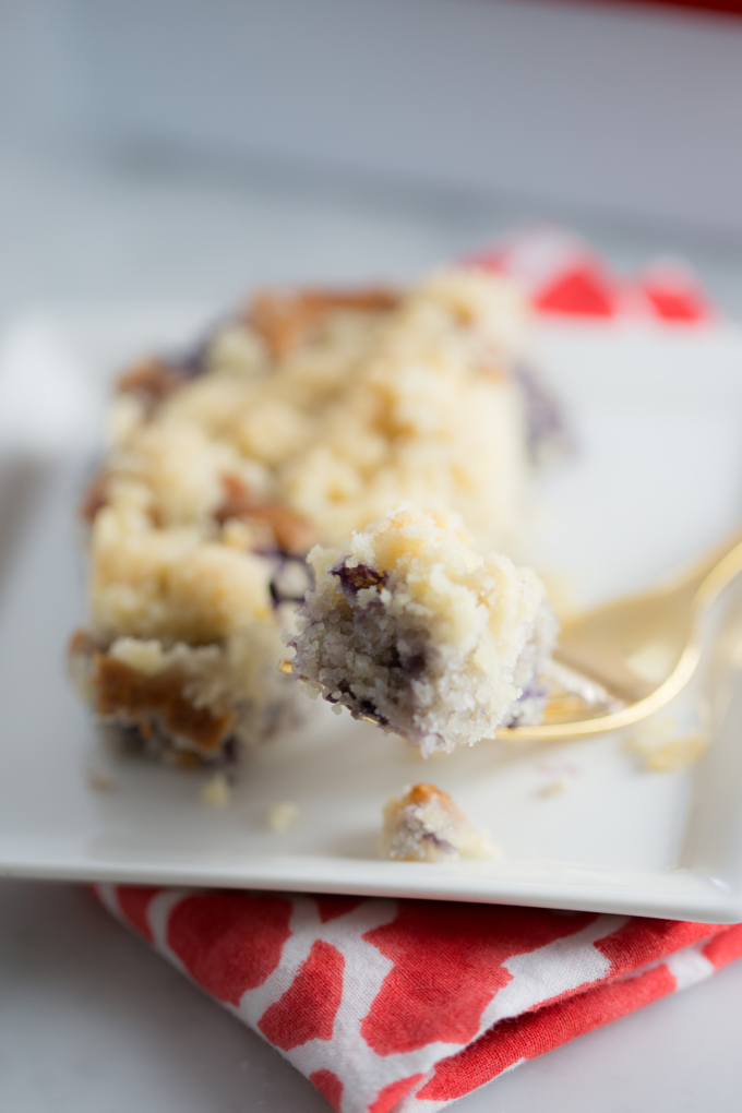 blueberry-coffee-cake-5-of-6