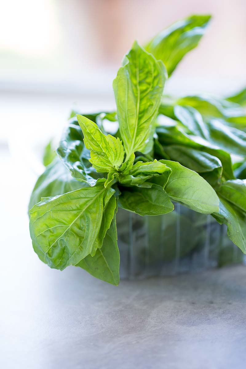 una caja de plástico con albahaca fresca