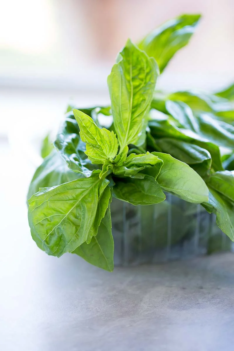 Pesto de aguacate  Cocinando para mis cachorritos.