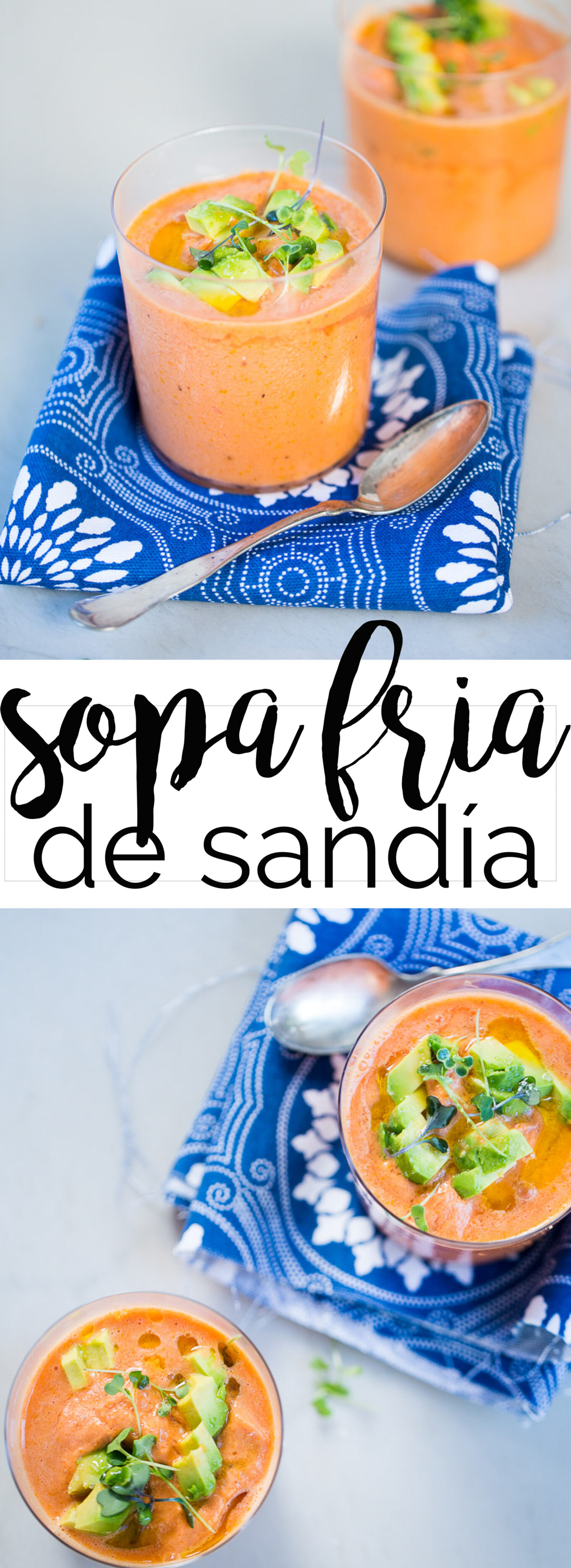 receta de sopa fría de sandía, fácil, rica y super nutritiva.