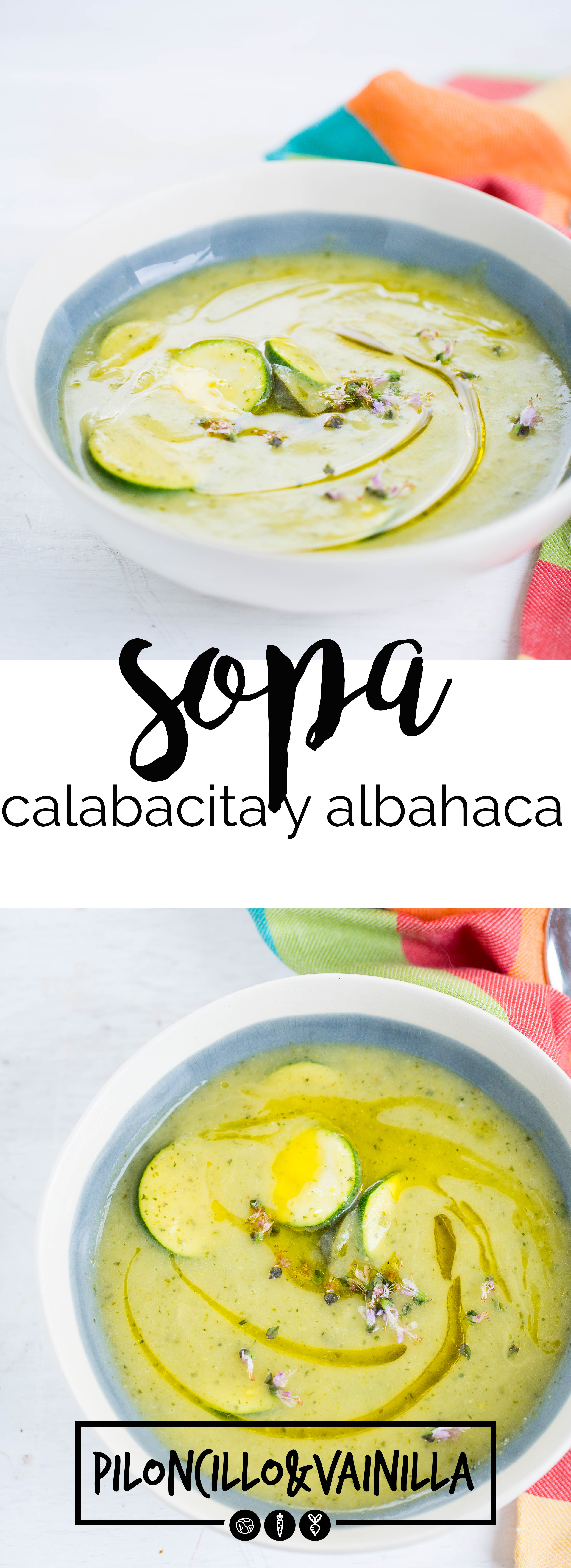 Receta vegana de sopa de sopa de calabacita con albahaca, receta super fácil de hacer, receta saludable y deliciosa!