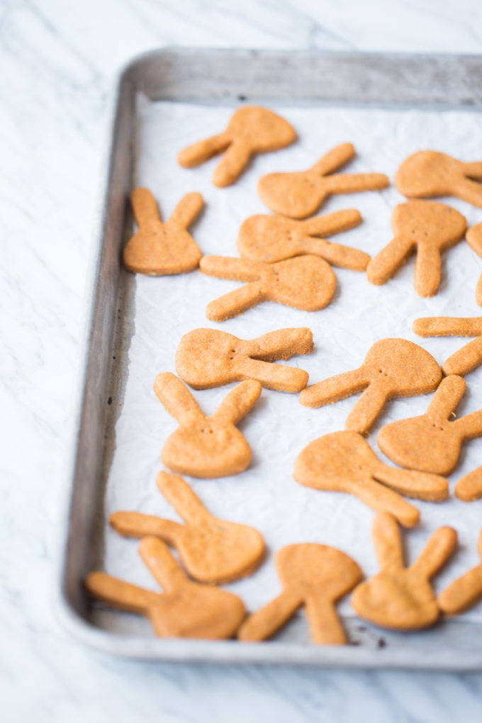 una charola con galletas para perro hechas en casa