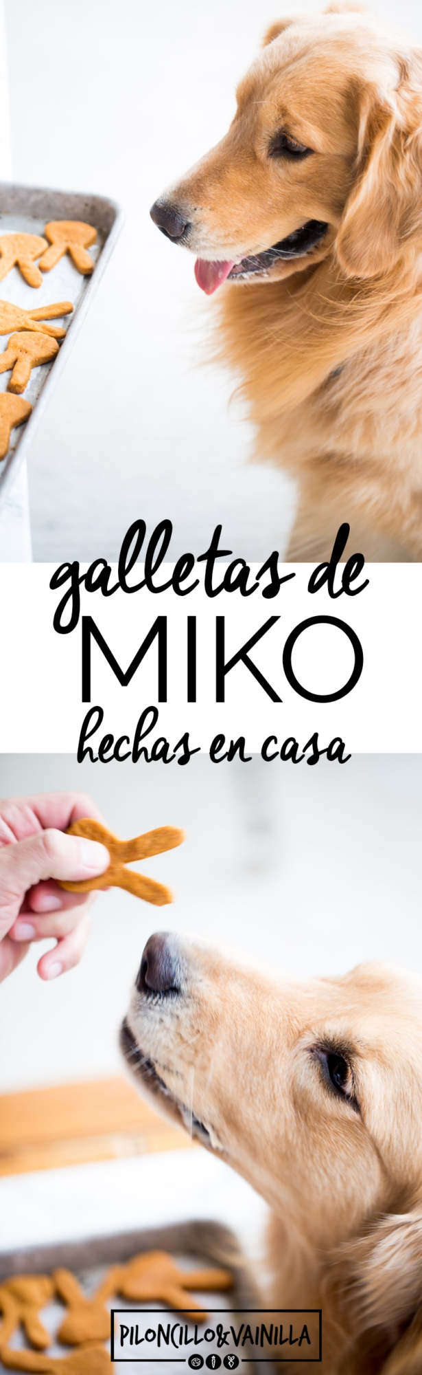 galletas para perro