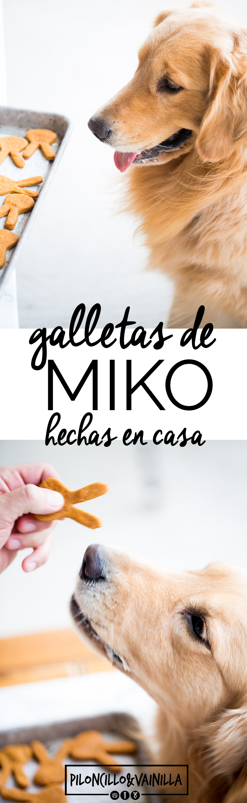 Esta receta de galletas para perro lleva sólo tres ingredientes, es fácil, rápida y super nutritiva para nuestros hijitos de cuatro patas.