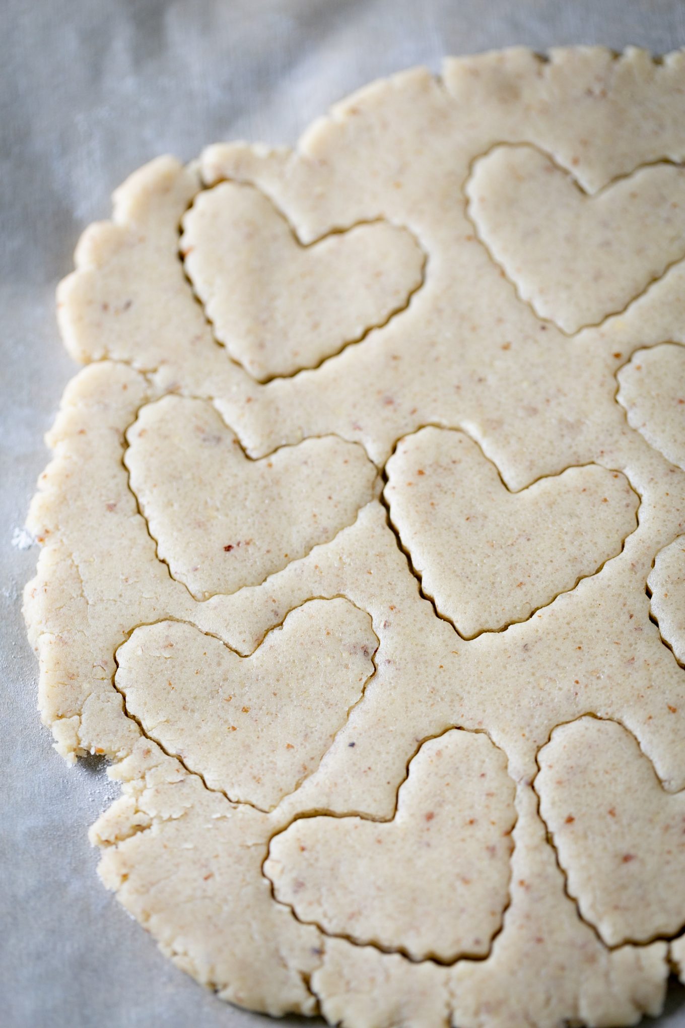 masa extendida con galletas cortadas