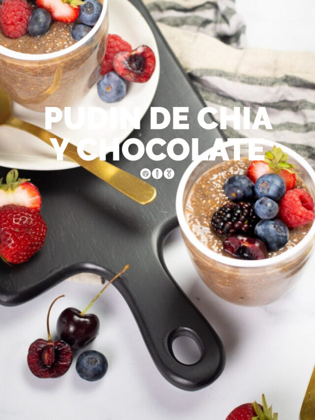 PUDIN DE CHIA Y CHOCOLATE