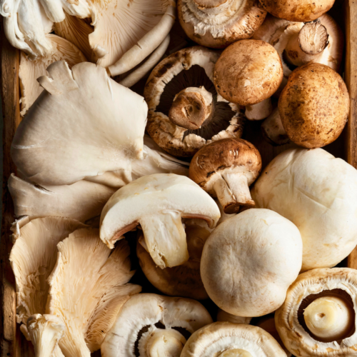 Una caja llena de diferentes tipos de setas, incluidos champiñones y apta para hacer recetas con champiñones o crema de champiñones.