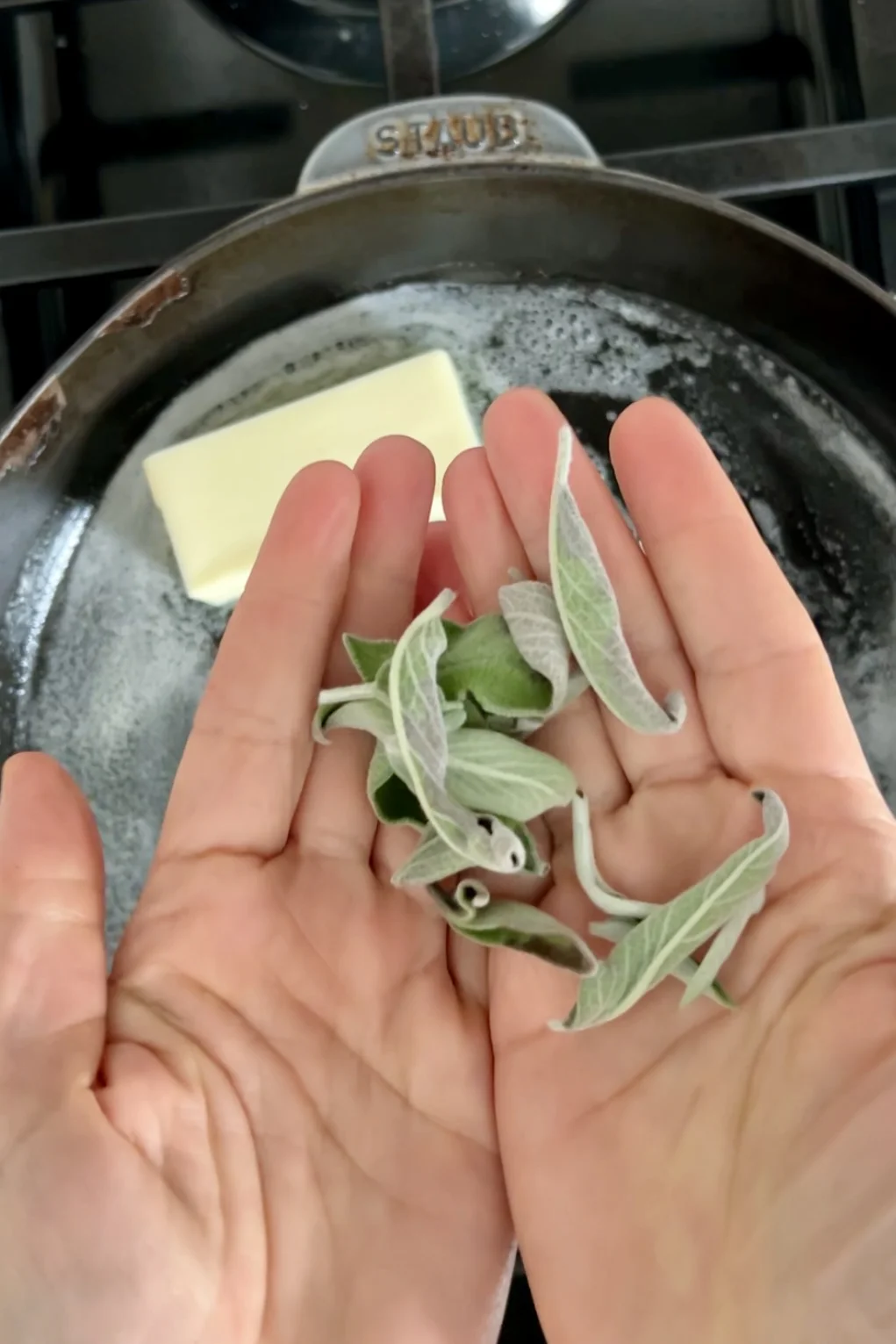 Close-up of hands holding fresh sage leaves over a pan with a melting square of butter, gently sizzling as the perfect base for a lemon brown butter sauce begins to form. The pale green, fuzzy-textured sage hints at the flavorful dish soon to unfold.