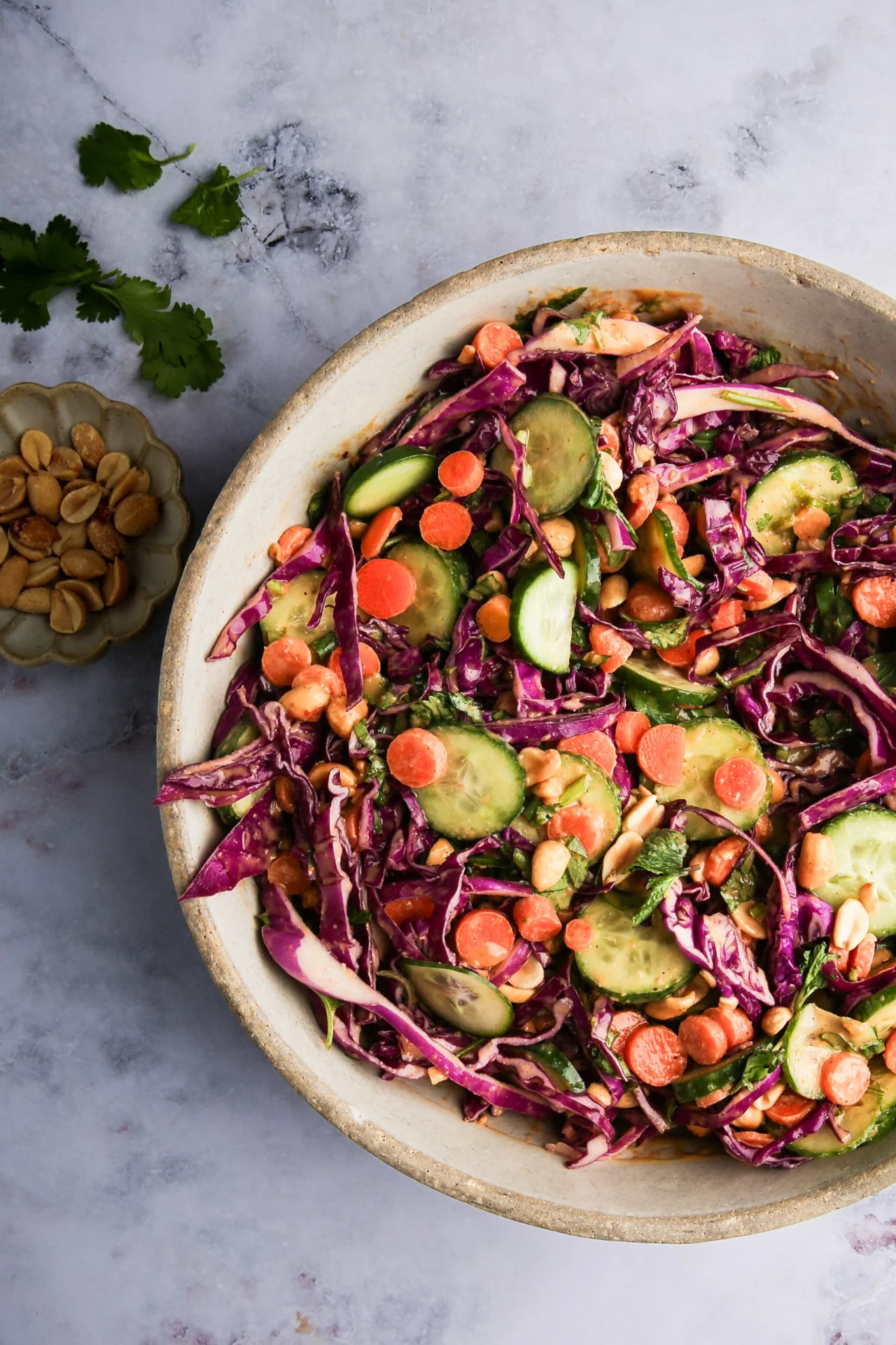 Sobre una superficie de m&aacute;rmol descansa un cuenco de ensalada de colores con rodajas de pepino, col lombarda, zanahorias, cilantro y cacahuetes. A la izquierda, un platito con cacahuetes y totopos crujientes aporta textura crujiente y un toque de color a esta fresca presentaci&oacute;n.